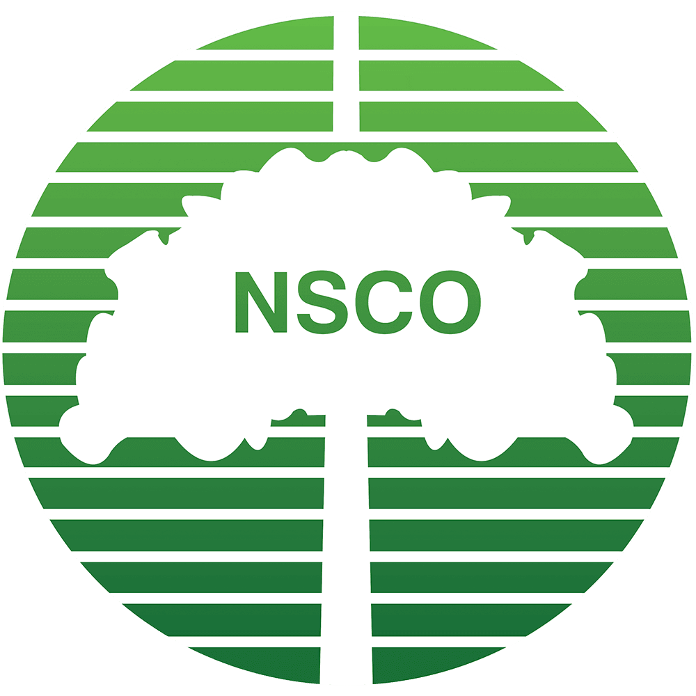 Narvan Sayeh Wood Industries